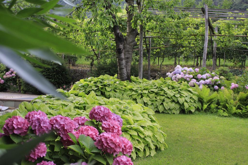 לגונדו Apartments Gasserhof מראה חיצוני תמונה
